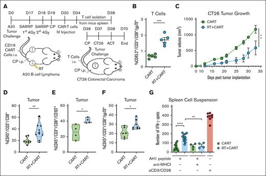 Enhanced tumor protection in a colorectal model through adoptive transfer of CD3+ T cells from mice treated with RT plus CART-19. (A) Working model: time line and schematic representation of in vivo A20 tumor–bearing mice treated with 2 × 4-Gy RT followed by CAR T cells and adoptive T-cell transfer to CT26 tumor–bearing mice. All mice of all groups were treated with the same CP lymphodepletion regimen. (B) AH1-specific T cells from donor mice after ex vivo expansion, before ACT. (C) CT26 tumor growth of recipient mice (n > 4). (D) CD45+/CD3+/CD8+ T-cell tumor infiltration. (E) CD45+/CD3+/CD8+/CD107+ T-cell tumor infiltration. (F) CD45+/CD3+/CD8+/AH1-specific T-cell tumor infiltration. (G) IFN-γ spots of an ELISPOT assay after AH1 peptide stimulation of splenocytes from mice that received ACT. Graphs show the mean ± SEM. ∗P < .05; ∗∗P < .01; ∗∗∗P < .001; ∗∗∗∗P < .0001. Data are representative of 2 independent experiments. ACT, Adoptive Cell Therapy.