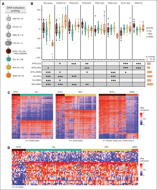 Differential DNA methylation patterns of B-PLL compared with CLL, MCL, and SMZL. (A) Number of samples with DNA methylation data available. (B) Boxplots of the first 8 PCAs including B-PLL, CLL, MCL, and SMZL cases. At bottom, the table shows the false discovery rate (FDR)–corrected P values of Wilcoxon test of pair-wise comparisons across entities. On the right, the bars represent the total percentage of the variability showing significant differences for each PCA comparison. (C) Heat maps of the differentially methylated CpGs between B-PLL and CLL (n = 5058), B-PLL and MCL (n = 2755), and B-PLL and SMZL (n = 60 841). In the case of SMZL, the top 10 000 CpGs with the highest standard deviation are represented. (D) Heat map of the 31 simultaneous differentially methylated CpGs comparing B-PLL to CLL, MCL, and SMZL. FDR levels of significance: FDR < 0.001 = ∗∗∗, FDR < 0.01 = ∗∗, and FDR < 0.05 = ∗.
