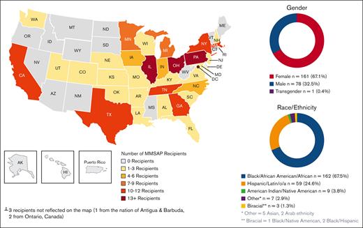 MMSAP, 2004-2022 (N = 240). MMSAP, Minority Medical Student Award Program.