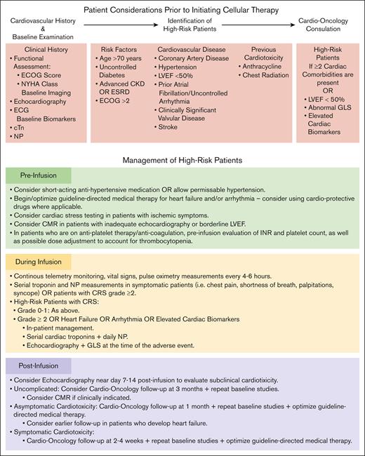 Identification and management of patients at high-risk of cardiotoxicity. Clinical considerations for the screening and management of patients at an increased risk of cardiotoxicity undergoing T-cell–directed therapy. CKD, chronic kidney disease; CMR, cardiac magnetic resonance imaging; ECG, electrocardiography; ECOG, Eastern Cooperative Oncology Group; ESRD, end stage renal disease; GLS, global longitudinal strain; INR, international normalized ratio; LVEF, left ventricular ejection fraction; NYHA, New York Heart Association.