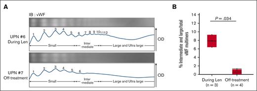 Lenalidomide and dexamethasone therapy induces multimerization of vWF. (A) Representative electrophoresis (above) and densitometric analysis (below) of vWF multimers in patients undergoing treatment including lenalidomide (UPN #6) and off-treatment (UPN #7). The OD pattern was analyzed using ImageJ 1.53t. Peaks 1 through 5 represent the small multimers, and peaks 6 through 10 represent the intermediate multimers. The large and ultra-large multimers have >10 peaks. (B) Comparison of the proportion of intermediate and large multimers to total vWF multimers between patients during treatment including lenalidomide (n = 3) and off-treatment (n = 4). Each area of vWF multimer peaks in the OD analysis was measured by ImageJ 1.53t. Statistical analysis was performed by Wilcoxon 2-sample exact test. Len, lenalidomide; UPN, unique patient number.