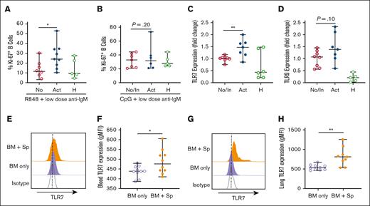 B cells from patients and mice with active cGVHD have increased TLR7 expression and show heightened proliferative responses to low-level BCR and TLR7 stimulation. Post-HSCT B cells from patients with active (n = 6-9) or no/inactive (n = 7-9) cGVHD at the time of sample collection were isolated by negative magnetic selection from peripheral blood mononuclear cell (PBMCs). Cells from healthy donors are shown for reference. Plated B cells were stimulated with the (A) TLR7 agonist R848 (1 μg/mL) or (B) TLR9 agonist CpG (1 μg/mL) in the presence of low-dose surrogate BCR antigen (anti-IgM, 0.625 μg/mL) for 48 hours and assessed for cell cycle entry (Ki-67 expression). Data represent frequency of Ki-67+ B cells of total CD19+ B cells. (C-D) RNA was isolated from B cells and quantitative polymerase chain reaction (qPCR) was performed to quantify (C) TLR7 and (D) TLR9 gene expression. Levels are expressed as a fold change when compared with normalized levels in individuals with no/inactive cGVHD. (E-H) TLR7 protein levels in B cells (n = 10 per group) from mice with cGVHD (BM + Sp) or control mice (BM only) were quantified via intracellular flow cytometry in (E-F) blood at day 33 after transplantation or (G-H) in lung tissue at days 46 to 47 after transplantation. Half-overlayed flow cytometry histograms from representative BM and BM + Sp mice are shown. Levels were expressed as geometric mean fluorescence intensity (MFI) in the diseased mice (BM + Sp) when compared with levels in the nondiseased (BM-only) group. All samples were run on the same day. Data represent median ± range. ∗P < .05 and ∗∗P < .01 between sample groups. No, no cGVHD; In, inactive cGVHD; Act, active cGVHD; H, healthy donor; BM only, BM (control group); BM + Sp, BM + spleen (cGVHD group).