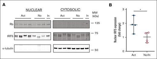 Expression of active transcription factor IRF5 is upregulated in B cells of patients with active cGVHD. Nuclear protein fractions were isolated from B-cell pellets from patients with active (n = 4), inactive (n = 1), and no (n = 3) cGVHD using a commercially available extraction kit and (A) IRF5 protein expression was measured by western blot analysis. α-tubulin (cytoplasmic) and Rb (nuclear) were used as loading controls. (B) IRF5 expression levels were expressed as a fold change of normalized levels in the no/inactive cGVHD group. Rb was used to normalize IRF5 nuclear gene expression levels. The Image J software program was used for quantification. ∗P < .05 between sample groups. Data represent median ± range.