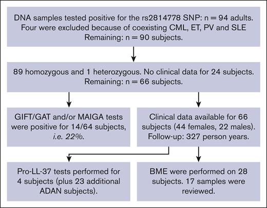ADAN study flowchart for inclusion and exclusions from the study. CML, chronic myelogenous leukemia; ET, essential thrombocythemia; PV, polycythemia vera; SLE, systemic lupus erythematosus.