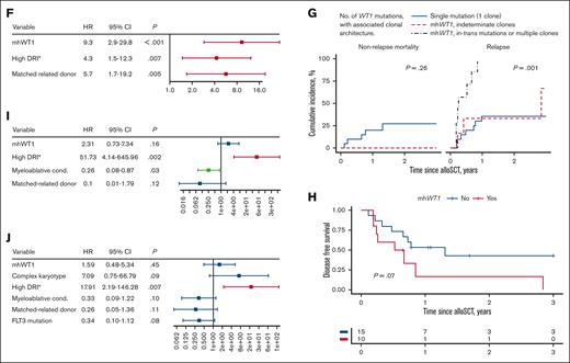 Genetic landscape and clinical outcomes of patients with WT1-mutated myeloid neoplasms undergoing alloSCT. (A) Oncoplot depicting comutations associated with WT1. Thirteen of 33 patients had mhWT1. (B) Lollipop plot showing position of mutations among 33 patients. Two hot spots were observed: codons 301-303 and codons 312-314. (C) Variant allele frequency (VAF) of top 10 mutated genes. (D) Post-alloSCT non-relapse mortality (NRM) and RI of the entire cohort. (E) Post-alloSCT NRM and RI stratified by single or mhWT1 mutations. (F) Multivariate competing risk regression analysis for relapse among patients undergoing alloSCT. (G) Cumulative incidence of NRM and relapse stratified by WT1 mutations and associated clonal architecture. (H) DFS after alloSCT, stratified by mhWT1. (I) Multivariate Cox proportional hazard analysis for 3-year DFS after transplantation in patients with mWT1 AML. (J) Multivariate Cox proportional hazard analysis for 3-year OS after transplantation. ∗None of the patients had a very high DRI.