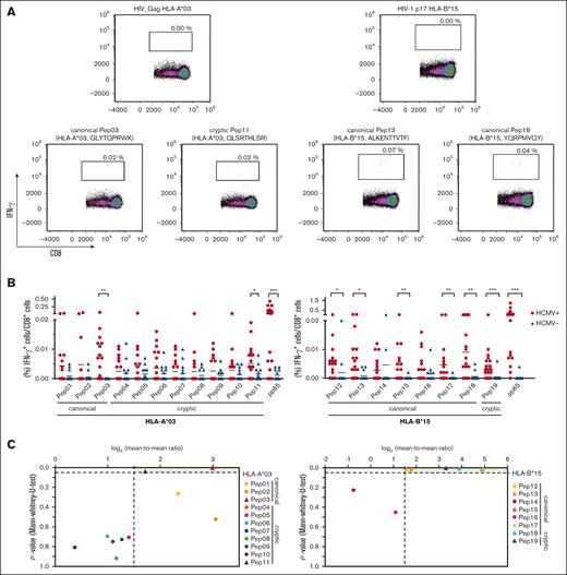 Confirmation of identified immunogenic epitopes at the single peptide level. (A-B) PBMCs from healthy donors were stimulated with HCMV-derived single peptides. Peptide-specific T-cell frequencies (IFN-γ+/CD8+) were quantified by flow cytometry. (A) Representative flow cytometric density plots of IFN-γ+/CD8+ T-cell frequencies after stimulation with a background control (HIV_Gag HLA-A∗03 or HIV-1 p17 HLA-B∗15) or HCMV-derived peptides are shown. (B) Background-corrected peptide-specific T-cell frequencies of PBMCs from healthy donors with HCMV seropositivity (red circles) or seronegativity (blue triangles). PBMCs were also stimulated with pp65 peptides that were presented on the donors' alternative HLA allotype for comparative analysis. Each symbol represents 1 donor. The Mann-Whitney U test and Benjamini-Hochberg procedure for a false-positive discovery rate of <0.2 were used for statistical analysis (∗ P < .05; ∗∗ P < .01; ∗∗∗ P < .001). (C) Volcano plot showing the P value (Mann-Whitney U test) and respective log2-transformed mean-to-mean ratios between healthy donors with HCMV seropositivity and HCMV seronegativity from Figure 4B. Peptides were classified into nonimmunogenic (●; log2-transformed mean-to-mean ratio < 1.5; P > .05) or immunogenic (▲; log2-transformed mean-to-mean ratio > 1.5; P < .05) peptides.