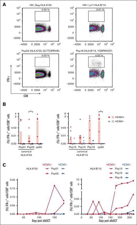 Verification of the immunogenicity of the identified HCMV-derived peptides in PBMCs from patients after allo-SCT. (A) Representative flow cytometric density plots of IFN-γ+/CD8+ T-cell frequencies after stimulation with a background control (HIV_Gag HLA-A∗03 or HIV-1 p17 HLA-B∗15) or HCMV-derived single peptides are shown. (B) Background-corrected peptide-specific T-cell frequencies of PBMCs from patients with HCMV seropositivity (red circles) or seronegativity (blue triangles) 180 days after allo-SCT after stimulation with HCMV-derived single peptides. PBMCs were also stimulated with pp65 peptides that were presented on the donors' alternative HLA allotype for comparative analysis. Each symbol represents 1 donor. The Mann-Whitney U test and Benjamini-Hochberg procedure for a false-positive discovery rate of <0.2 were used for statistical analysis (∗ P < .05). (C) PBMCs from an allo-SCT recipients with HCMV seropositivity (red) or HCMV seronegativity (blue) were longitudinally collected every 30 days from day +30 to day +180 (HLA-A∗03) or day +270 (HLA-B∗15). PBMCs were stimulated with the specified HCMV-derived single peptides. Background-corrected IFN-γ+/CD8+ T-cell frequencies are shown. The used specific peptides can be identified by the symbols shown in Figure 5C.