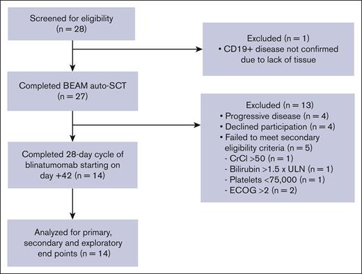 CONSORT diagram. CrCl, creatine clearance; ECOG, Eastern Cooperative Oncology Group; ULN, upper limit of normal.