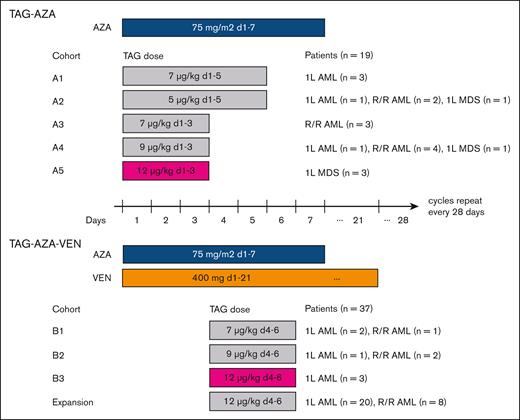 Treatment schema with dose levels and schedules tested. Diagram of the study design and participants. (Top) TAG and AZA were first tested as a doublet combination at 5 different doses/schedules of TAG with 7-day dosing of AZA. The RP2D of TAG was determined to be 12 μg/kg daily for 3 days (d1, 2, 3; in magenta) in combination with AZA. Patients with AML or MDS were eligible in Cohorts A1-A4. While cohort A4 was being enrolled, AZA-VEN was approved for AML. Therefore, the study was amended and cohort A5 was limited to MDS. (Bottom) 3 doses of TAG were tested with AZA-VEN as a triplet in patients with AML. In the first cycle, VEN was given as 100 mg on day 1, 200 mg on day 2, and 400 mg on day 3, followed by 400 mg on days 4 to 21. In subsequent cycles, VEN was given as 400 mg on days 1 to 21. The RP2D of TAG was determined to be 12 μg/kg daily for 3 days (d4, 5, 6; in magenta) in combination with AZA-VEN. Patients with 1L or R/R AML were eligible in dose escalation, and then separate expansion cohorts in 1L and R/R AML were enrolled.