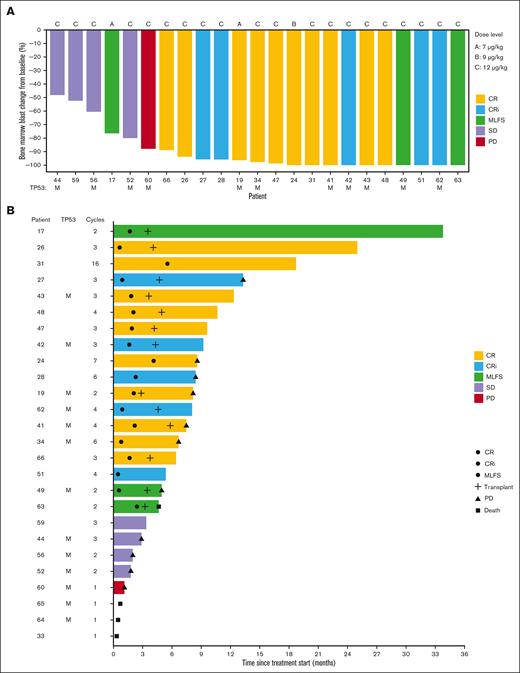 Overview of bone marrow response and patient outcomes in the previously untreated AML cohort (n = 26) that received TAG-AZA-VEN. (A) Waterfall plot showing the best bone marrow blast response at any cycle as percentage change from baseline. Not shown are 3 patients who left the study prior to bone marrow assessment and 1 patient with secondary AML after myelofibrosis whose bone marrow was fibrotic and acellular at baseline. Two patients received 7 μg/kg TAG (dose level A), 1 received 9 μg/kg (dose level B), and the remaining 23 received 12 μg/kg (dose level C). Best response is annotated by color, as indicated. TP53 mutant status is annotated with an “M.” (B) Swimmer plot showing events and outcome for each patient over time from treatment start. Best response is annotated by the color of each bar, as in panel A. Circles indicate the time of first achieving CR, CRi, or MLFS, as indicated; cross is the time of allogeneic stem cell transplantation; triangle is the time of progressive disease (PD); square is the time of death. Annotation at the end of the bar is the status at end of study treatment. Patients without PD or death noted remained in remission at the last known follow-up. TP53 mutant status is annotated with an “M” and the number of cycles of treatment received is indicated.