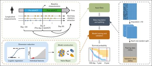 Overall workflow of data analysis. Baseline variables and summary statistics of longitudinal measurements collected in the period from 30 days before allo-HCT to 30 days afterwards in the St Jude data set were included in the analysis. A total of 10 replicates of multiple imputation were performed for the missing baseline variables. Each imputed data set was randomly split into 70% training data and 30% validation data for model construction and validation. Establishing the ML model involved 2 steps: dimension reduction and model construction. Dimension reduction was performed by univariate logistic regressions. The top 50 variables with the smallest P values were selected into model construction. The ML algorithm used for classification was a naïve-Bayes, which classifies subjects as predicted to be deceased or alive based on the conditional probabilities. The constructed ML model was assessed on the validation data set according to different evaluation metrics (eg, Kaplan-Meier plots).