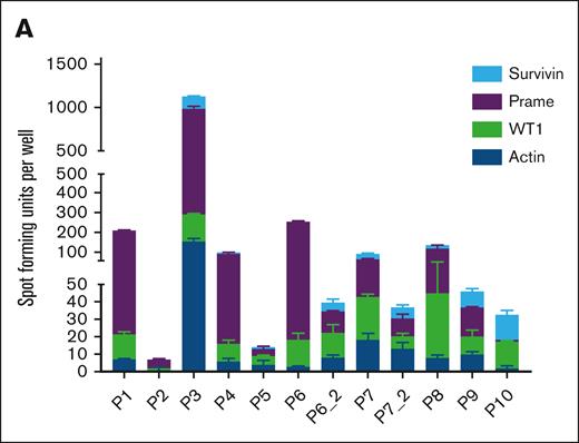 Functional characterization of TAA-T products. (A) Tumor antigen specificity as measured by IFNγ ELISPOT assay of the 12 infused products after overnight restimulation with overlapping 15mer pepmixes of actin (irrelevant control antigen), WT1, PRAME, and survivin.