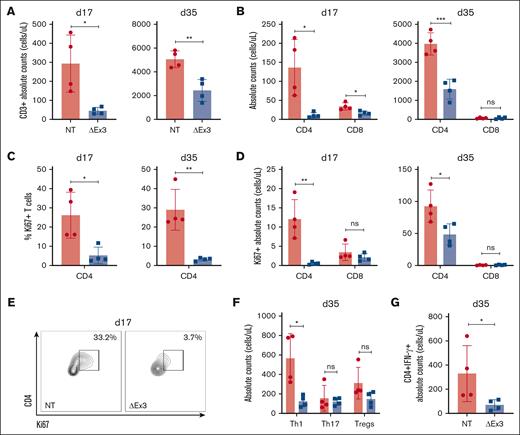 MIR155HGΔexon3 T cells display markedly reduced proliferation and Th1 population in GVHD target organ. Xenogeneic GVHD transplants were performed as before, and recipient NSG mice were euthanized at either day 17 or day 35 after transplantation to obtain single-cell suspension from GVHD target organ liver for flow cytometric analyses. N = 4 mice for each time point, data combined from 2 independent donors. All data are shown as absolute counts (cells per μL). (A) CD3+ T cells in liver on day 17 (left) and day 35 (right) after transplantation. (B) CD4+ and CD8+ T-cell subsets. (C) Percentage Ki67 expression on CD4+ T cells. (D) Absolute numbers of Ki67+ CD4+ and Ki67+ CD8+ T cells at day 17 (left) and day 35 (right) after transplantation. (E) Representative day 17 contour plots from panel C. (F) Proportion of Th1, Th17, and Treg CD4+ T-cell subtypes on day 35 after transplantation. (G) IFN-γ expressing CD4+ T cells on day 35 after transplantation.