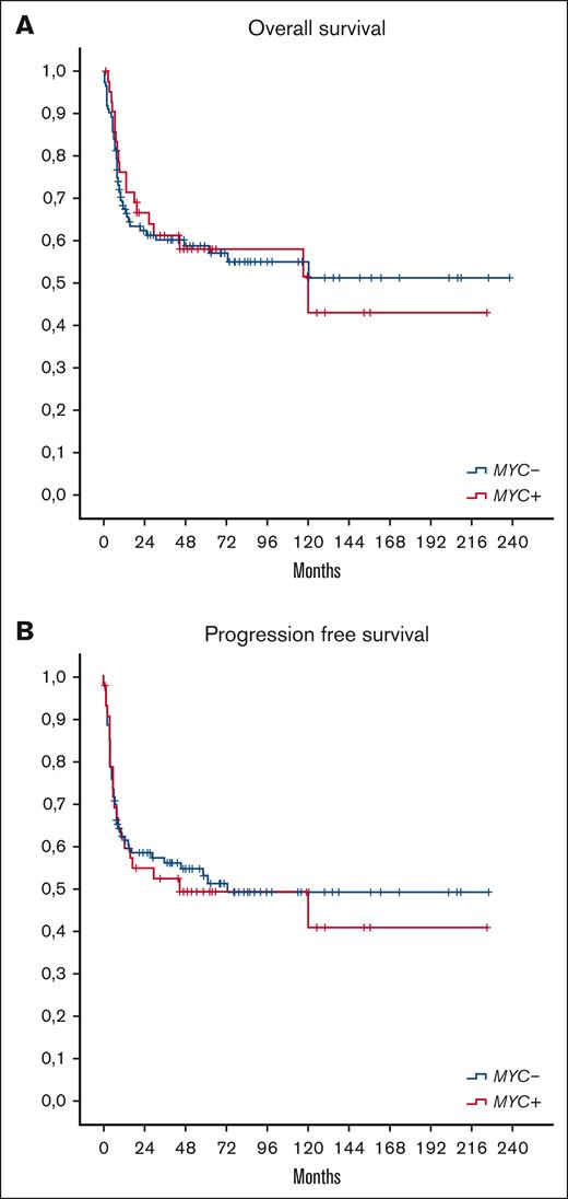 OS and PFS according to MYC status. OS (A) and PFS (B) of patients with MYC+ and those with MYC– (P not significant).