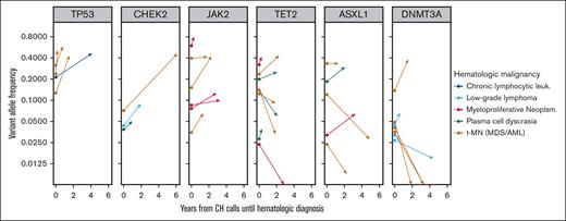 Clonal trajectories of CH mutations during the evolution of 26 subsequent hematologic malignancies. Six CH genes were present in at least 3 patients who subsequently developed a hematologic malignancy that was also sequenced using the MSK IMPACT platform. Vector origins at time zero show CH VAF in blood, and vector termini show VAF in the bone marrow at time of hematologic disease characterization.