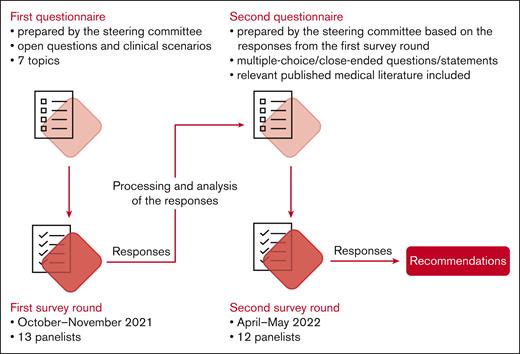 The Delphi process.