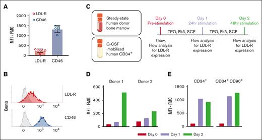 LDL-R expression is low on human HSCs in the BM of humanized mice. (A) LDL-R and CD46 expressions on human CD34+ cells in steady-state BM of humanized NBSGW mice. Mean fluorescence intensity (MFI) corrected by the fluorescence-minus-1 (FMO) control is displayed; n = 5; error bars indicate SD. (B) Representative histogram of LDL-R, CD46, and FMO control (gray) signals detected from flow cytometry of the samples in panel A. (C) Schematic of in vitro culture, stimulation, and flow-cytometry analysis using steady-state human donor BM and G-CSF–mobilized human CD34+ cells. (D) LDL-R signals of steady-state human donor BM samples corrected by FMO signals. Data from 2 independent donors are displayed. (E) LDL-R signals of G-CSF–mobilized human CD34+ and CD34+CD90+ cells corrected by FMO signals.