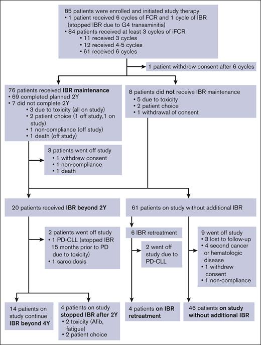 Patient outcome and disposition. Afib, atrial fibrillation; FCR, fludarabine, cyclophosphamide, and rituximab; IBR, ibrutinib, PD-CLL, progression of disease with chronic lymphocytic leukemia; Y, years.