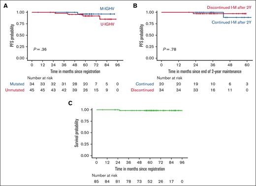 PFS and OS. (A) PFS of subgroups divided by IGHV mutation status. (B) PFS of patients who discontinued or continued I-M after 2 years. The x-axis indicates months since the end of 2-year I-M. (C) OS of all study participants. Patients who received ibrutinib retreatment were included in the analysis of PFS and OS.