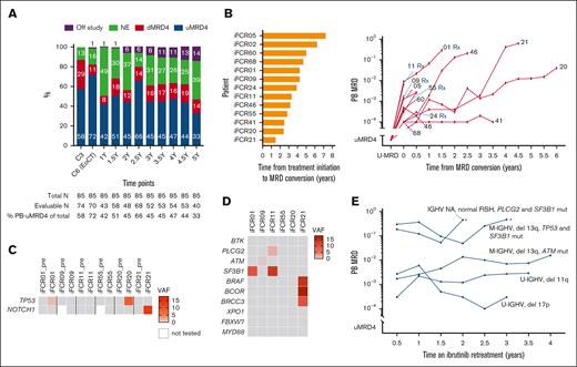 Kinetics and genomic characteristics of MRD. (A) Serial PB MRD assessments of all participants. (B) Time from initiation of iFCR until MRD conversion (left), and MRD growth kinetics without intervention in 13 patients with MRD conversion (right). Each patient’s study identification number is shown at the end of each line. Serial PB MRD data during retreatment are shown separately in panel E. (C) Status of TP53 and NOTCH1 mutations at pretreatment and at the time of MRD conversion. (D) Status of BTK, PLCG2, and CLL driver gene mutations at MRD conversion. (E) MRD kinetics during ibrutinib retreatment. Asterisks indicate clinical CLL progression. C3, cycle 3 of iFCR; del, deletion; dMRD, detectable MRD (≥10-4); EoCT, end of combination therapy with iFCR; mut, mutated; NA, not assessed; NE, not evaluable; pre, before initiation of iFCR; Rx, patient who received retreatment with ibrutinib; uMRD4, undetectable MRD (<10−4); VAF, variant allele frequency; Y, years after iFCR.