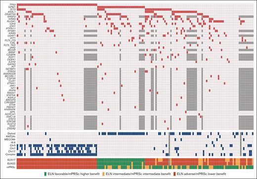 Genetics and risk stratification. Oncoplot showing the mutational landscape (red) and cytogenetic abnormalities (blue) in the study patients. Untested mutations in the patients evaluated using the 28-gene NGS panel are shown in dark gray.