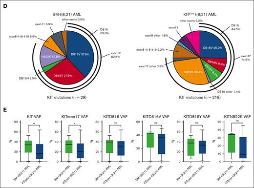 Molecular landscape observed in SM-t(8;21) AML and KITpos t(8;21) AML cases. (A-B) Alignment of top gene mutations in 23 patients with SM-t(8;21) AML and 147 patients with KITpos t(8;21) AML detected by targeted next-generation sequencing (over 50 genes). Each column represents 1 analyzed patient, and each line represents 1 gene. (C) Distribution of number of KIT gene mutations in patients with SM-t(8;21) AML and KITpos t(8;21) AML. (D) Pie charts showing the distribution of known KIT mutation subtypes in patients with SM-t(8;21) AML and those with KITpos t(8;21) AML for the most frequent codons and exons, with mutation frequencies shown as percentage. (E) Variant allele frequency (VAF) of KIT, KIT exon17, KIT D816, KITD816Y, and KIT N822K in SM-t(8;21) AML in comparison to KITpos t(8;21) AML. ns, not significant.