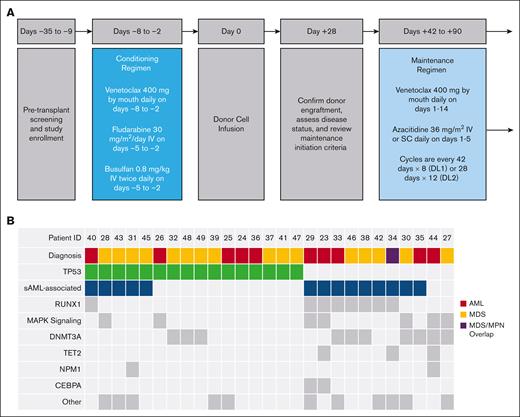 Study design and baseline disease and mutational profiles. (A) Pretransplant screening and enrollment of patients were conducted in the 28-day period before day −8. Schematic and timeline of events for the phase 1 trial of Ven plus Ven/FluBu2 conditioning chemotherapy, including reviewing criteria to initiate maintenance (after day +28), and starting maintenance therapy with Ven and Aza between days +42 to +90. SC, subcutaneously; DL1, 42-day cycles; DL2, 28-day cycles. (B) Comutation plot of diagnostic mutations amenable to MRD tracking. Columns represent individual patients by study identifier (ID) and rows represent clinical variables or the presence of mutation(s) identified at diagnosis or mutations at screening with VAF of ≥1%. This VAF cutoff is suggestive of a diagnostic mutation, which was not confirmed at diagnosis because of lack of diagnostic sample or technical assay differences. Secondary AML (sAML)-associated genes include the following SRSF2, SF3B1, U2AF1, ZRSR2, ASXL1, EZH2, BCOR/L1, and STAG2. MAPK signaling genes included were NRAS, KRAS, FLT3, and PTPN11. "Other" includes mutations in the following genes: JAK2, SETBP1, WT1, MYC, EP300, PRPF8, PPM1D, BRAF, CSF3R, PHF6, and GATA2.