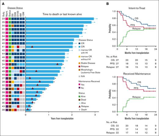 Outcomes after Ven plus FluBu2 allo-SCT followed by Ven/Aza maintenance. (A) Swimmer plot for the intent-to-treat cohort (N = 27) and time to death or last known alive. Shown with accompanying heat map for disease status over time (D0, D28, D100, 6M, and 12M), maintenance receipt, and survival status. D0, day 0; D28, day +28 after transplant; D100, day +100 after transplant; 6M, 6 months after transplant; and 12M, 12 months after transplant. Relapse indicated by red-filled triangle. (B) Kaplan-Meier estimate and log-rank test of OS (blue line), PFS (red line), and relapse (green line) in the intent-to-treat cohort (top, N = 27) and in the cohort that ultimately received maintenance Ven/Aza (bottom, N = 22). 95% CIs are reported for each outcome.