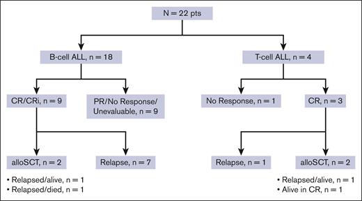 Responses and disposition of study patients.