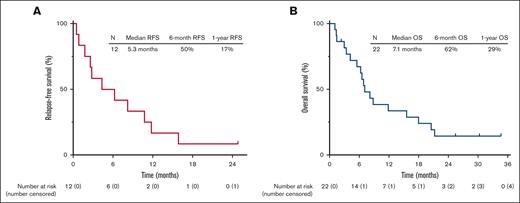 Outcomes of the study cohort. (A) RFS, (B) OS.