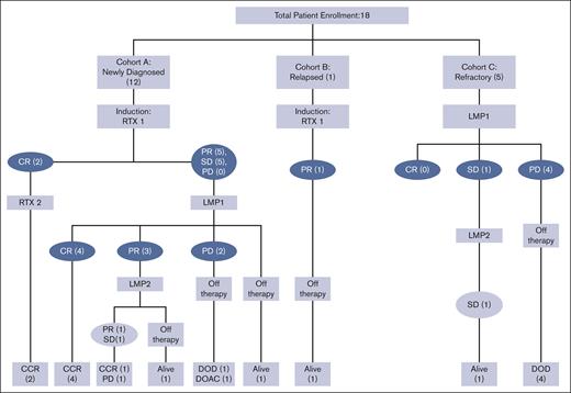 Patient treatment assignments and outcomes. RTX indicate rituximab 375 mg/m2 weekly × 3 doses and cycle length, 21 days; LMP, 2 × 107 cells per m2 weekly × 2 and cycle length, 42 days. Alive, alive with further therapy and/or relapse; CCR, continous complete remission; DOAC, dead of other causes; DOD, dead of disease.