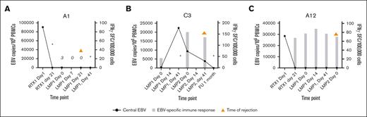 Rejection episodes did not correlate with increasing EBV-specific immunity. All patients had stable or decreasing EBV immune response, as evaluated by ELISpot assay (and reported in IFN-γ spot forming cells (SFC) per100 000 cells). Mononuclear cells isolated from peripheral blood samples were cocultured with LCLs; after 10 days, cells were evaluated by ELISpot to assess IFN-γ release when plated with LCLs. Patient A1 had no evidence of EBV-specific immune response at time of rejection (A). EBV-specific immune response were decreasing at time of rejection in patients C3 and A12 (B-C). ∗ indicates that data were not available at these time points. IFN-γ, interferon gamma; SFC, spot forming cells.