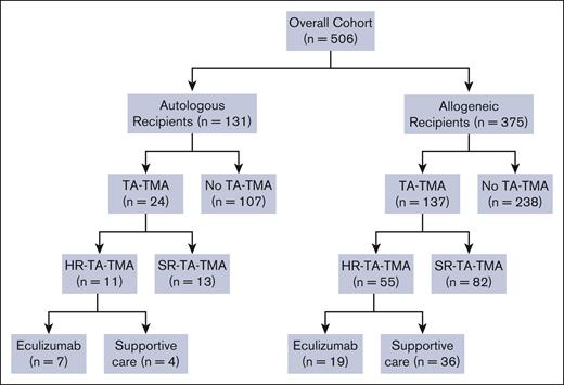 CONSORT diagram. A total of 506 patients underwent HCT during the study period. Allogeneic recipients were analyzed separately from autologous HCT recipients, and gene therapy recipients were excluded from the analysis. All patients who met criteria for TA-TMA were risk stratified into HR- TA-TMA or SR- TA-TMA. Patients were stratified as being at high risk if they had sC5b-9 level > the upper limit of normal and proteinuria > 2 mg/mg or either elevated sC5b-9 or proteinuria and multiorgan dysfunction. Among patients with HR-TA-TMA, patients were treated with either eculizumab or supportive care only.