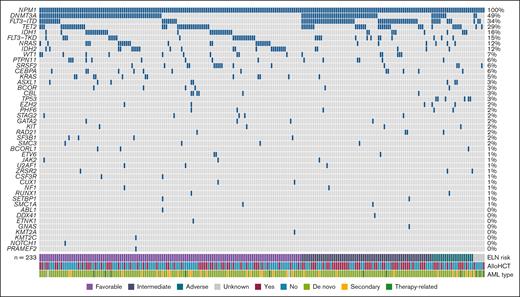 Molecular landscape of AML with NPM1 mutation.NPM1 is frequently comutated with DNMT3A (48.9%), FLT3-ITD (33.9%), and TET2 (28.7%).