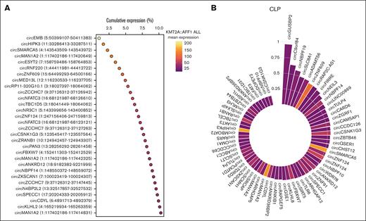 CircRNAome of KMT2A::AFF1 ALL. (A) Cumulative expression of the 30 circRNAs most abundantly expressed in the samples from patients with KMT2A::AFF1 ALL; (B) CLP (bar height) and expression (bar color, as in panel A) in KMT2A::AFF1 ALL of the circRNAs with highest CLP (at least 0.15) and in the top 5% most expressed in patients.