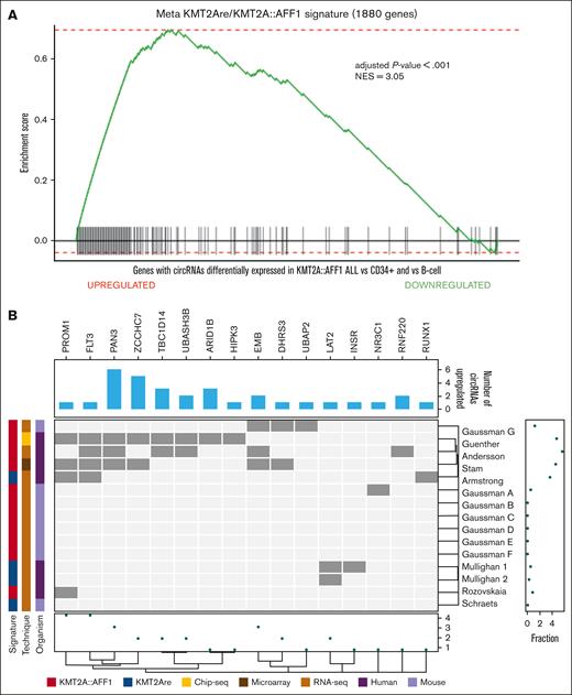 Relation between circRNAs dysregulated in KMT2A::AFF1 ALL and known KMT2Are signature genes. (A) Custom GSEA of the host genes expressing the 86 circRNAs most dysregulated in KMT2A::AFF1 using custom assembled KMT2Are/KMT2A::AFF1 meta-signature of 1881 genes previously associated with the disease. (B) Bar plot of the number of circRNAs dysregulated in KMT2A::AFF1 expressed from genes belonging to the KMT2Are/KMT2A::AFF1 meta-signature. The heat map shows the genes belonging to each original signature (dark gray); the columns are clustered according to the Dice distance, and the rows according to the Sokal and Michener distance; the marginal dot plots display the number signatures that contain each gene (bottom) and the fraction of genes of each signature that host at least 1 circRNA (right); information about the original signatures considered is given by the left bars. NES, normalized enrichment score.