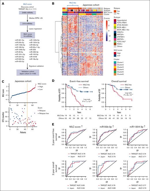 Validation of the MLC signature in the Japanese cohort. (A) Strategy used to identify and test the MLC score for the 19-miRNA signature. (B) Heat map of miRNA expression by 69 primary samples from the Japanese cohort, along with clinical information for each case. Six clusters were identified by consensus clustering of the 69 samples using 500 miRNAs (the distance method, Pearson). Cases with an MLC score in the third quartile or higher were defined as having a high MLC score. Samples in Cluster 2 had a high MLC score and were labeled as MLC-like (n = 19). (C) The distribution of MLC scores and EFS in the Japanese cohort. (D) Kaplan-Meier survival curves of EFS and OS for BCP-ALL cases with and without an MLC-like signature. P values are based on the log-rank test. (E) Time-dependent receiver-operating characteristic curve analysis and area under the curve (AUC) of the predictive power of MLC score, miR-92b-3p, and miR-1304-3p expression on 2-year EFS and OS in the TARGET and Japanese cohort. FP, false-positive rate; RPM, reads per million; TP, true-positive rate.