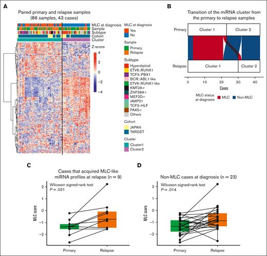 The MLC signature of relapsed BCP-ALL. (A) Heat map showing miRNA expression by 86 paired primary and relapse samples from the TARGET cohort (35 cases) and the Japanese cohort (8 cases), along with clinical information for each case. Two clusters were identified by consensus clustering of the 86 samples using 400 miRNAs (the distance method, Pearson). Primary samples with an MLC or MLC-like signature are denoted as MLC at diagnosis. (B) An alluvial plot illustrates the transition of the miRNA cluster from the primary to relapse samples from 43 cases; red indicates primary samples classified as MLC (20 cases), and blue indicates those classified as non-MLC (23 cases). (C-D) Box plots comparing the MLC scores between paired primary and relapse samples (C) in the 9 cases that acquired MLC-like miRNA profiles at relapse, and (D) in the 23 non-MLC cases at diagnosis. P values are calculated using the Wilcoxon signed-rank test.