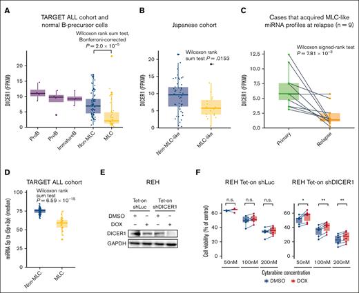DICER1 expression in BCP-ALL. (A) Box plots comparing DICER1 expression (expressed as FPKM) by normal pro–B cells (n = 4), pre–B cells (n = 4), immature B cells (n = 4), non-MLC cases (n = 80), and MLC cases (n = 31) from the TARGET ALL cohort. The P value was calculated using the Wilcoxon rank-sum test, adjusted using Bonferroni-correction. (B) Box plots comparing DICER1 expression (FPKM) in non-MLC-like cases (n = 50) and MLC-like cases (n = 19) from the Japanese cohort. The P value was calculated using the Wilcoxon rank-sum test. (C) Box plots comparing DICER1 expression (FPKM) in paired primary and relapse samples from 9 cases that acquired an MLC signature at relapse. The P value was calculated using the Wilcoxon signed-rank test. (D) Box plots showing quantification of miRNA processing, based on the median 5p to (5p + 3p) miRNA ratio in non-MLC cases (n = 80) and MLC cases (n = 31) from the TARGET ALL cohort. The P value was calculated using the Wilcoxon rank-sum test. (E) Immunoblotting to detect DICER1 and GAPDH expression by REH cells transduced with control (shLuc) or DICER1 short hairpin RNAs (shDICER1). Cells were treated for 72 hours with 3 μM doxycycline (DOX) or an equivalent amount of dimethyl sulfoxide (DMSO). (F) Box plots comparing the viability of REH cells transduced with control or shDICER1 after exposure to cytarabine. REH cells were transduced with shLuc or shDICER1 and then cultured in the presence of 3 μM doxycycline, or an equivalent amount of DMSO, for 72 hours. After the indicated concentrations of cytarabine were added to the culture medium, cell viability (%) relative to that of control wells containing culture medium and the equivalent amount of vehicle was measured after 48 hours in a water-soluble tetrazolium 8 (WST-8) assay using Cell Counting Kit-8 (n = 6). P values were calculated using the Wilcoxon signed-rank test. ∗P < .05, ∗∗P < .01. FPKM, fragments per kilobase million; GAPDH, glyceraldehyde-3-phosphate dehydrogenase.