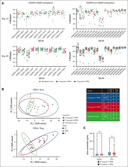 DNA methylation and cell-cycle analysis of immune cells from patients receiving T-reg graft and SOC. (A) FOXP3 TSDR (left) and non-TSDR (right) methylation from patient whole-blood DNA collected on day 14 or 30 after transplantation from patients who received transplant with T-reg graft alone (n = 12) or T-reg graft with single-agent prophylaxis (n = 12) and compared with a contemporaneous SOC cohort (n = 11). (B) Principal component analysis and 95% confidence ellipses of cell-cycle gene expression in sorted CD4+ Tcon and CD4+ Treg from day 14 after transplantation (left) and table summarizing the number of samples according to the group and cell type identified as most closely associated with G1, G2M, or S-phase of the cell cycle (right) (SOC, n = 7; no PPX, n = 12; and PPX, n = 9). (C) Regenerating islet–derived protein 3α and suppression of tumorigenicity 2 (ST2) serum concentrations on day 7 after HCT ∗ P ≤ .05, ∗∗ P ≤ .01; ns, not significant.