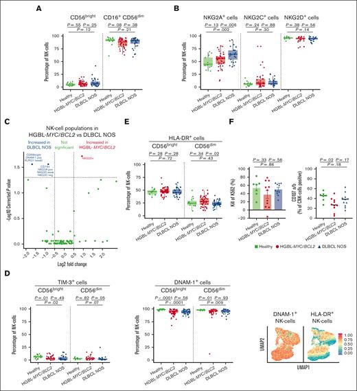 NK cell phenotype in patients with HGBL-MYC/BCL2, patients with DLBCL NOS, and HDs. (A-B) Expression analysis of major NK cell subsets (A) and NK cell receptors (B) in HDs (green; n = 15 in A; n = 13 in panel B), patients with HGBL-MYC/BCL2 (red; n = 51 in A; n = 41 in panel B), and patients with DLBCL NOS (blue; n = 35 in A; n = 25 in panel B). (C) In-depth analysis of the computationally identified NK cell populations by FlowSOM expressed higher (red) or lower (blue) in patients with HGBL-MYC/BCL2 vs patients with DLBCL NOS. (D-E) Expression analysis of TIM-3, DNAM-1 (D), and HLA-DR (E) on NK cell subsets in HDs (green; n = 13-15), patients with HGBL-MYC/BCL2 (red; n = 41-51; based on sample availability for the 2 T-cell panels; see also supplemental Figure 1), and patients with DLBCL NOS (blue; n = 25-35) and dimensionality reduction by UMAP of the flow cytometry data of NK cells. Color overlays for DNAM-1 and HLA-DR are depicted. (F) Comparative percentages of kill of K562 and degranulation as measured by CD107a/b surface expression on NK cells in HDs (green; n = 7), patients with HGBL-MYC/BCL2 (red; n = 11), and patients with DLBCL NOS (blue; n = 11) after 4-hour coculture of PBMCs with K562 cell line. Cytotoxicity is calculated relative to the amount of K562 cells without PBMCs. For all box plots, the lower upper hinges correspond to the 25th and 75th percentiles. The middle hinge corresponds to the median. The whiskers extend from the largest to smallest value ± 1.58 ∗ interquartile range. Samples are plotted individually, bone marrow samples (n = 3 HGBL-MYC/BCL2 and n = 1 DLBCL NOS) are indicated as square. Mann-Whitney U test between 2 groups was used for statistical analysis. P < .05 was considered significant.