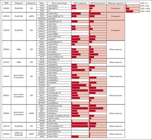Paired NGS sample analysis at time of MPN-AP/BP diagnosis and after blast reduction. Mutation-positive fractions are shaded in red, with the length of the bars proportional to the variant allele frequency (VAF). Patients are sorted by their molecular response pattern after treatment. Post–blast-reduction samples were taken after the indicated treatment.