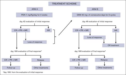 Treatment scheme, therapeutic approach scheme, and steps in both study arms are reported.