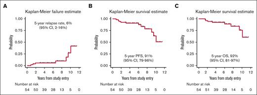 Disease outcome. (A) Kaplan-Meier estimates of cumulative incidence of relapse; (B) PFS; and (C) OS.