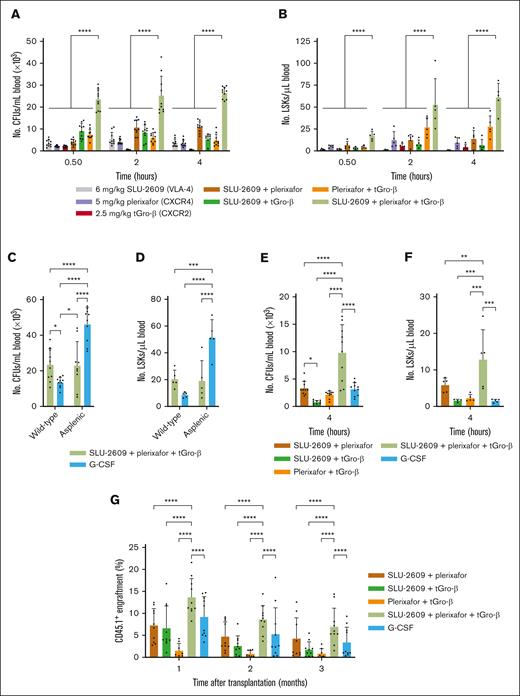 Enhanced mobilization and competitive repopulation with triple combination of SLU-2609, plerixafor, and tGro-β. (A-B) DBA/2J mice were injected with every combination of tGro-β (2.5 mg/kg), CXCR4 inhibitor plerixafor (5 mg/kg), and/or VLA4 inhibitor SLU-2609 (6 mg/kg). tGro-β was always administered as a separate SC injection. Mice treated with the triple combination of a VLA-4 inhibitor, plerixafor, and tGro-β were first injected SC with a mixture of the VLA-4 inhibitor plus plerixafor followed immediately thereafter by a SC injection of tGro-β. Peripheral blood samples were collected 30, 120, and 240 minutes after injection. Numbers of circulating CFUs (A; n = 10) and LSK cells (B; n = 5) were analyzed. Data are mean ± SD. (C-D) Wild-type and splenectomized DBA/2J mice were treated with G-CSF (9 doses every 12 hours; 125 μg/kg per dose) or the triple combination of tGro-β (2.5 mg/kg), plerixafor (5 mg/kg), and SLU-2609 (9 mg/kg). Treatment in splenectomized mice began 7 days after splenectomy. Numbers of circulating CFUs (A) and LSK cells (B) were analyzed from peripheral blood taken after completion of the 5-day G-CSF regimen or 4 hours after injection of the triple combination. Data are mean ± SD of 2 independent experiments; n = 10 mice per cohort. (E-F) C57BL/6J mice were injected with G-CSF (9 doses every 12 hours; 125 μg/kg per dose), tGro-β (2.5 mg/kg), plerixafor (5 mg/kg), and/or SLU-2609 (9 mg/kg). Numbers of circulating CFUs (E; n = 9-10) and LSK cells (F; n = 4-5) were analyzed from peripheral blood taken at 4 hours after injection. Data are mean ± SD. (G) Competitive repopulation assay. Blood (10 μL) from CD45.1+ donors (BALB/c; n = 3 per cohort) mobilized with G-CSF (9 doses every 12 hours; 125 μg/kg per dose), tGro-β (2.5 mg/kg), plerixafor (5 mg/kg), and/or SLU-2609 (9 mg/kg) was mixed with CD45.2+ competitor BM cells (BALB/cJ; n = 2 donors; 2.5 × 105 cells per recipient) and transplanted into lethally irradiated primary CD45.2+ hosts (BALB/cJ; n = 8-10 recipients). The contribution of mobilized cell populations to hematopoiesis was determined by flow cytometry for CD45.1+ donor cells within the CD45+CD3– compartment monthly after transplantation. Data are mean ± SD. ∗P < .05; ∗∗P < .01; ∗∗∗P < .001; ∗∗∗∗P < .0001. BM, bone marrow; SD, standard deviation.