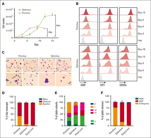 Functional characterization of primitive and definitive iRBCs. (A) Erythroid expansion of primitive and definitive HPCs in erythroid liquid cultures. (B) Representative histograms of CD36, CD71, and CD235a expression of primitive (top) or definitive erythroblasts during erythroid differentiation. Differentiation days are indicated on the right and negative control is shown in gray. (C) Cytospins showing May-Grünwald Giemsa staining of erythroid cells from primitive and definitive cultures at day 6 and day 12 of differentiation. Scale bars represent 20 μm. (D) Relative abundance of β-like transcripts (β+ε+γg+γa) at day 12 of erythroid liquid culture (mean ± SD, n = 3-4). (E) HPLC analysis of globin monomers in differentiated erythroblasts, relative quantification of α-like and β-like subunits are shown (primitive and definitive, mean ± SD, n = 3; FL n = 1). (F) HPLC analysis of globin tetramers in differentiated erythroblasts, relative quantification of adult hemoglobin (adult, α2β2), HbF (fetal, α2 γ2), and embryonic (Gower 1 ζ2ε2 and Gower 2, α2ε2) globins (mean ± SD). HPLC, high-performance liquid chromatography.