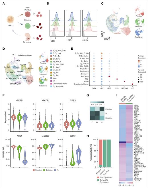 Transcriptional analysis by scRNA-seq of primitive, definitive, and FL-derived RBCs. (A) Schematic outline of scRNA-seq experiment. (B) Flow cytometry histograms of erythroid markers at the time of library preparation in primitive (pink), definitive (green), and FL-derived (blue) RBCs. Negative control is shown in gray. (C) Uniform manifold approximation and projection of primitive (n = 9547), definitive (n = 8808), and FL-derived (n = 11 598) RBCs. Subsets of individual samples are shown on the left (primitive iRBCs, pink; definitive iRBCs, green; and FL-derived RBCs, blue). (D) Distinct clusters of primitive, definitive, and FL-derived RBCs as defined by Seurat. (E) Dot plot showing expression of selected marker genes in each cluster. The dot size represents the percentage of cells within a cell cluster in which the gene was detected, and the dot color intensity represents the relative normalized average expression level of that marker. (F) Differential expression of a selection of erythroid genes in primitive, definitive, and FL-derived RBCs. (G) Correlation heat map of FL and definitive and primitive-derived RBCs in erythroid clusters. (H) Histogram showing the percentage of cells in each erythroid clusters in different samples. (I) Heat map of the top 25 differentially expressed genes between primitive and FL-definitive clusters.