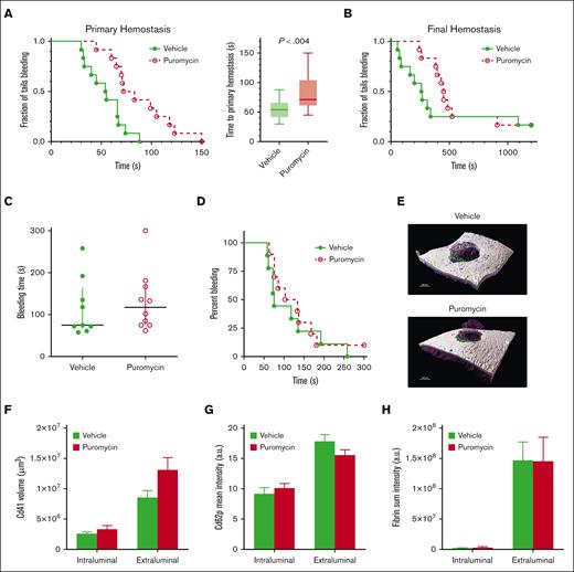 Inhibition of translation in circulating platelets delays but does not compromise hemostasis in mice. (A) Time to initial stoppage of bleeding after 1-mm diameter tail amputation in C57Bl/6J mice subject to 2 doses of either vehicle or puromycin as in Figure 3. Data are replotted as box and whisker plots to the right. (B) Time to hemostasis after rebleeds in the same mice as in panel A. The experiment was stopped at 1200 seconds; n = 9. P < .28 (not significant) for final hemostasis (log-rank test). (C-H) Bleeding times and clot features were monitored under microscopic observation in C57Bl/6J mice treated as earlier, after 150-μm puncture to the jugular vein; n = 10. (C) Time to hemostasis. The experiment was stopped at 300 seconds. (D) Replots of data from panel C. (E) Representative micrographs of intraluminal sides of injury sites, resected after the experimental end point, showing platelet volumes (Cd41, purple), Cd62p (P-selectin, green), and fibrin (blue); collagen is shown in gray. (F) Cd41 volumes. (G) Cd62p mean intensities. (H) Fibrin mean intensities. (C-H) no significant differences were observed. Vehicle, green closed circles and solid green lines or light green or green bars; puromycin, red open circles and dotted red lines or red bars.