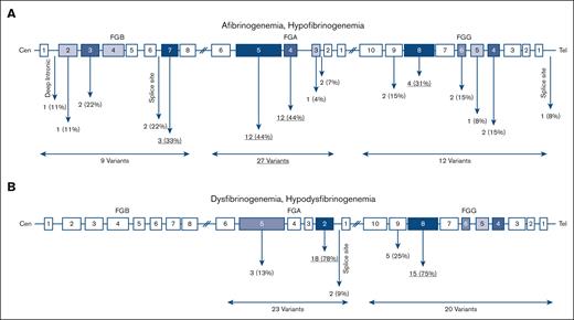 Distribution of causative variants identified in this study. Location of variants in quantitative (A) and qualitative (B) fibrinogen deficiencies.