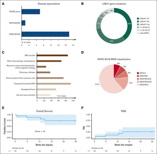 VEXAS features and post-transplant outcomes. (A) Bar graph shows the distribution of patients according to disease phenotypes and association with myeloid neoplasia (myelodysplastic syndrome, MDS or myeloproliferative neoplasia, MPN). (B) Pie chart detailing the frequency of the UBA1 mutations identified in our cohort. (C) Bar graph shows VEXAS clinical manifestations. (D) Pie chart showcases the MDS diagnosis according to the WHO 2016 MDS classification. (E) Kaplan-Meier curve shows the probability of OS in 19 patients with VEXAS undergoing allo-HCT. Numbers at risk are indicated below the curve. (F) Kaplan-Meier curve shows TRM in 19 patients with VEXAS undergoing allo-HCT. Numbers at risk are indicated below the curve.